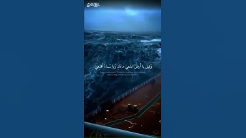 وقيل ياأرض ابلعي ماءك وياسماء أقلعي | اسلام صبحي يبكي من سورة هود