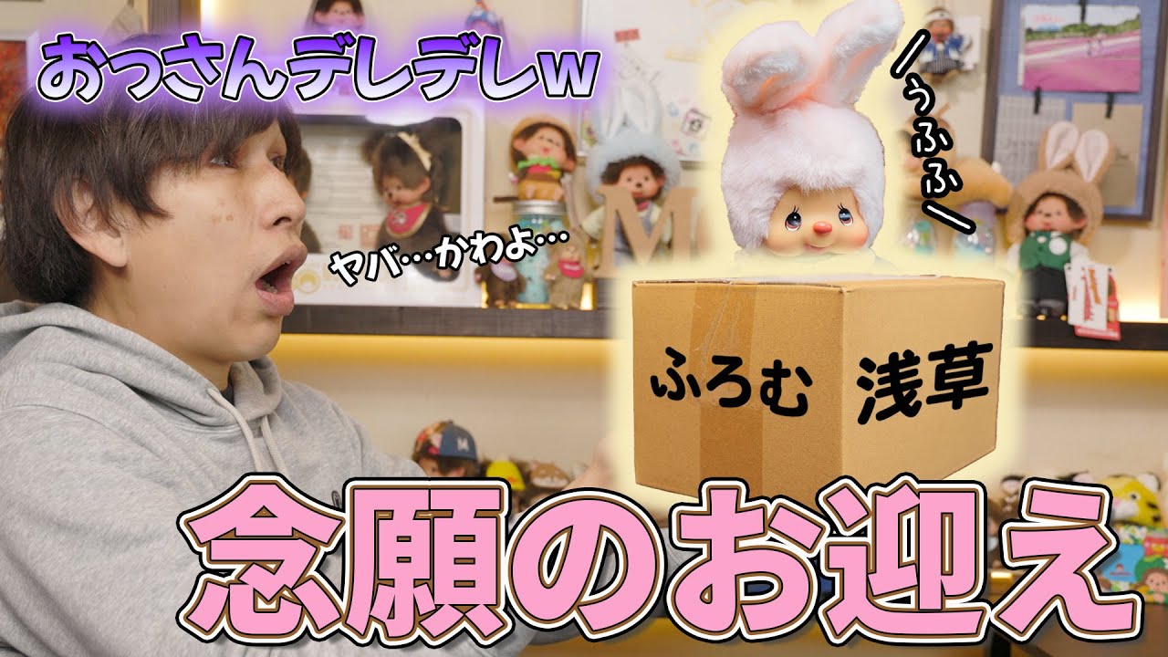 【モンチッチシリーズ】念願のチムたんをお迎えしたら終始デレデレが止まらなくなった件