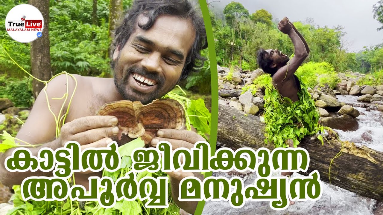 കാട്ടിൽ ജീവിക്കുന്ന അപ്പൂർവ മനുഷ്യൻ ഈ കാഴ്ച നിങ്ങളെ ഞെട്ടിക്കും തീർച്ച|Suresh Meppadi|Trueliveonline