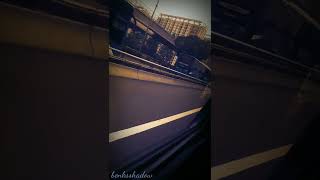 Story Wa Noah Kota Mati