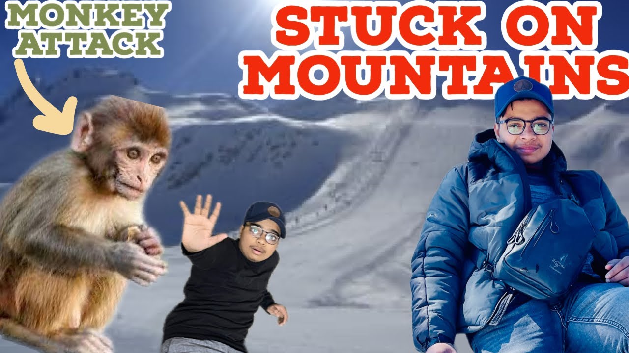 Mountain Par Phas Gaye Monkeys Nai Attack Kar Dya YouTube mountain-par-phas-gaye-monkeys-nai-attack-kar-dya-youtube