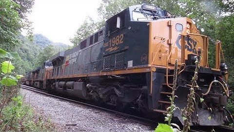 Seaboard System Special!! Yellow Red And Gray Through The Big Sandy! (Short Video) August 3, 2025,