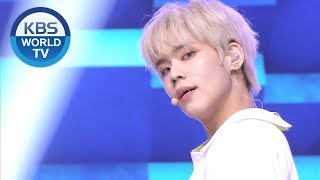 ENOi - bloom [Music Bank / 2019.05.17]