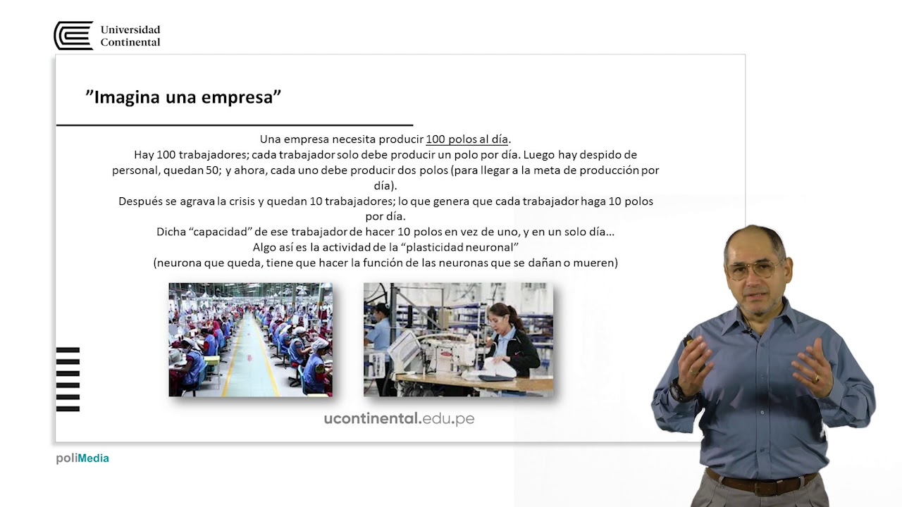 camera iphone 8 plus apk Plasticidad neuronal y proceso cognitivo