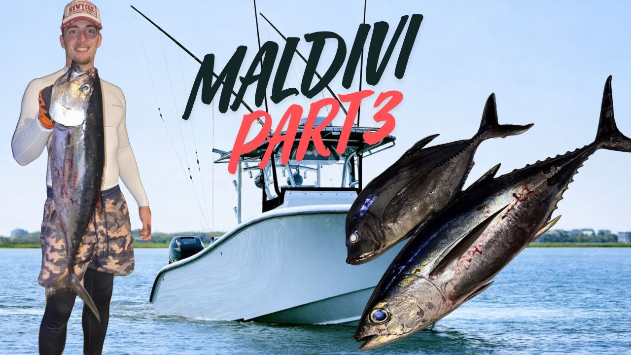 Ribolov na Maldivih (Part 3)