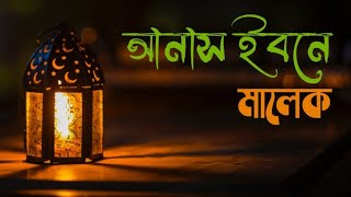 সাহাবাদের ইমানদীপ্ত জীবনী ➤০৮, হযরত আনাস ইবনে মালেক আল আনছারী (রাঃ) এর সংক্ষিপ্ত জীবনী।