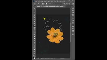 Create flower brush in photoshop #shorts #youtubeshorts