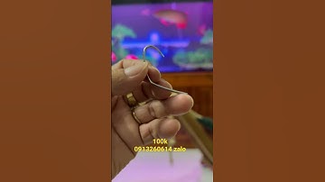 Lưỡi câu cà mau siêu cấp, #shorts