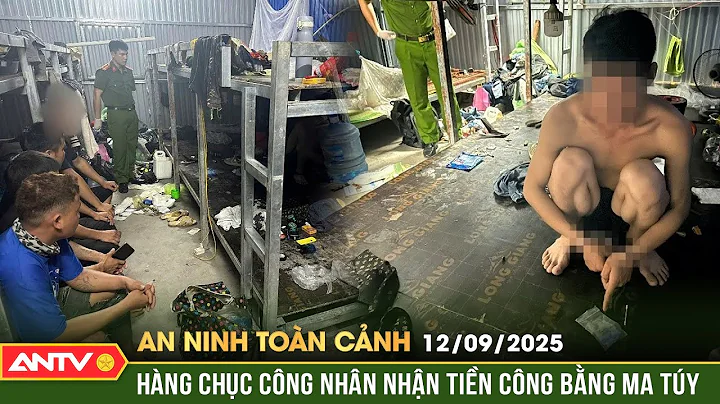 An ninh toàn cảnh ngày 12/9: Công an phát hiện hàng chục công nhân được trả công bằng ma túy | ANTV