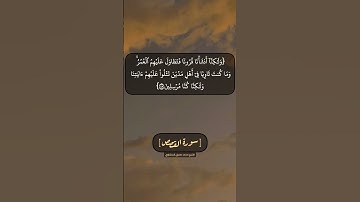 سورة القصص الآية ٤٤ و ٤٥ بصوت الشيخ محمد صديق المنشاوي