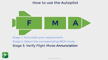 How to use the Auto Pilot Flight Director system of the Boeing 737