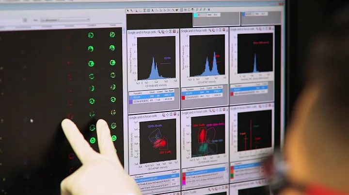 New Method of Looking at Leukaemia Cells down to t...