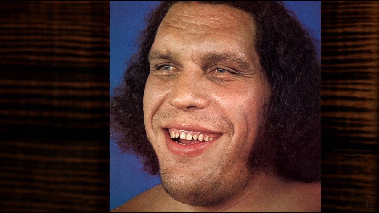 Andre The Giant | Best Moments - YouTube