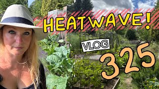 Hot on the Plot! Its been a bit warm.... Ep325 \\ Plot 37