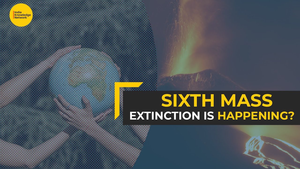 Earth headed towards sixth mass extinction? | Explained | IKN - YouTube