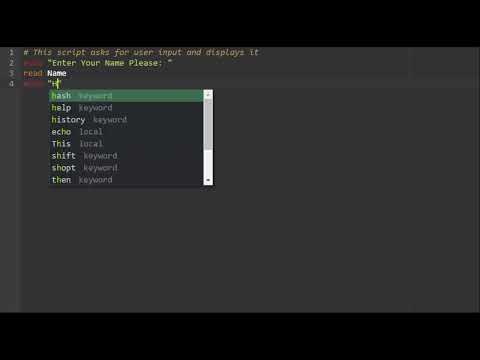 This Bash Script asks for User Input and Displays it.