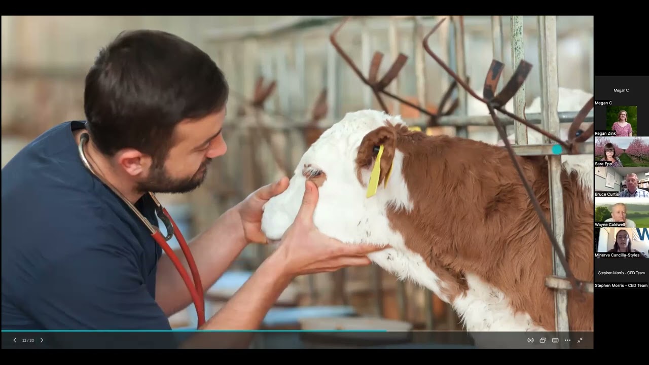 What Is A Food Animal Veterinarian At Erin Patteson Blog what-is-a-food-animal-veterinarian-at-erin-patteson-blog