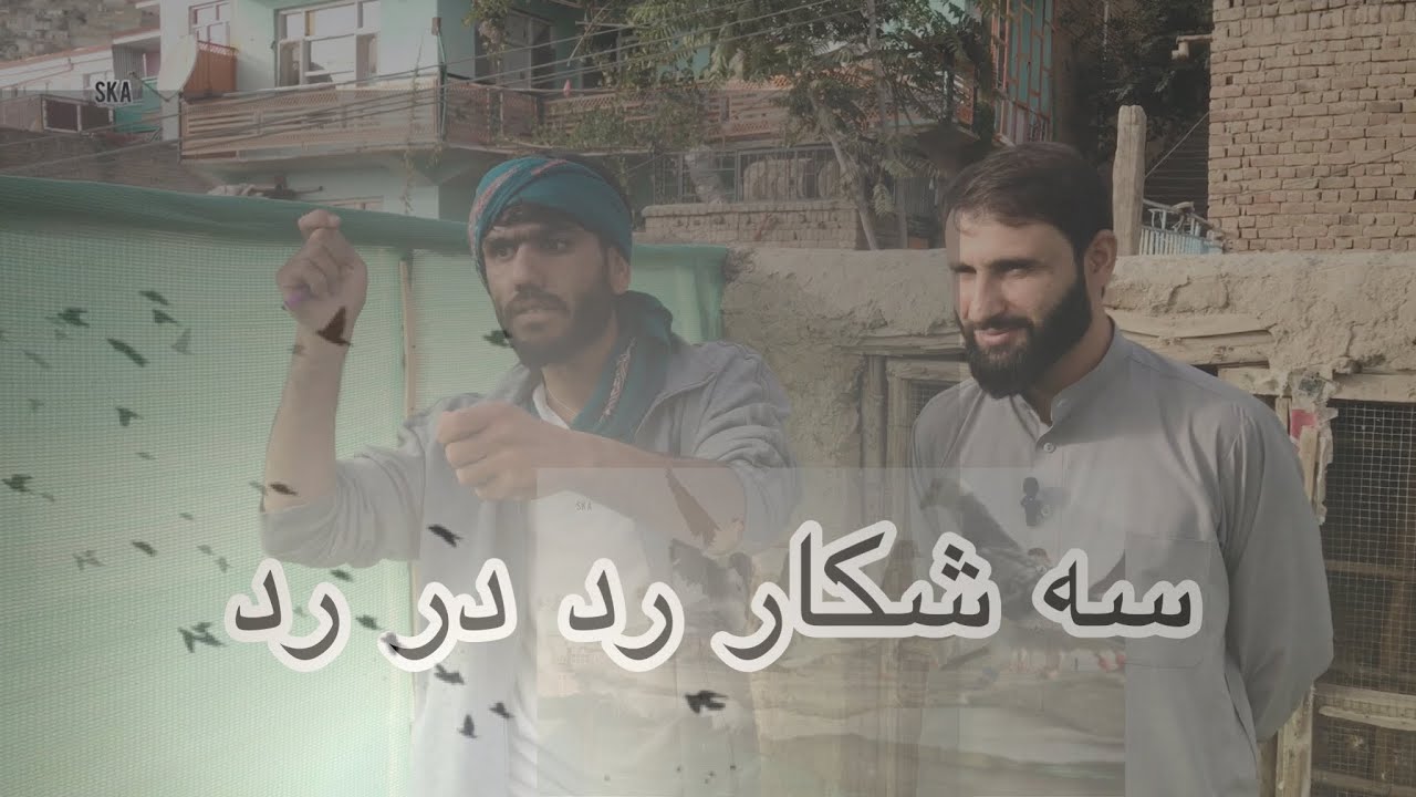 سه شکار رد در رد محی الدین خان