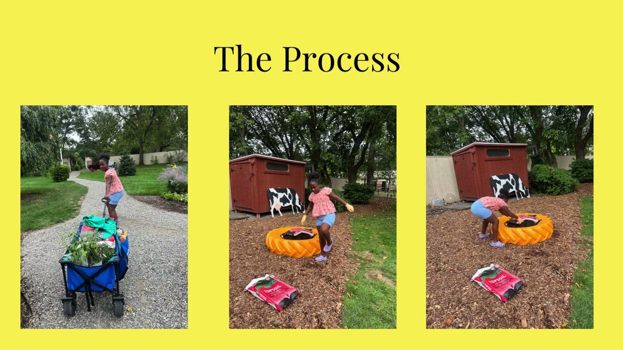 Pollinator Garden Bronze Award Troop 40376   Pollinator Garden