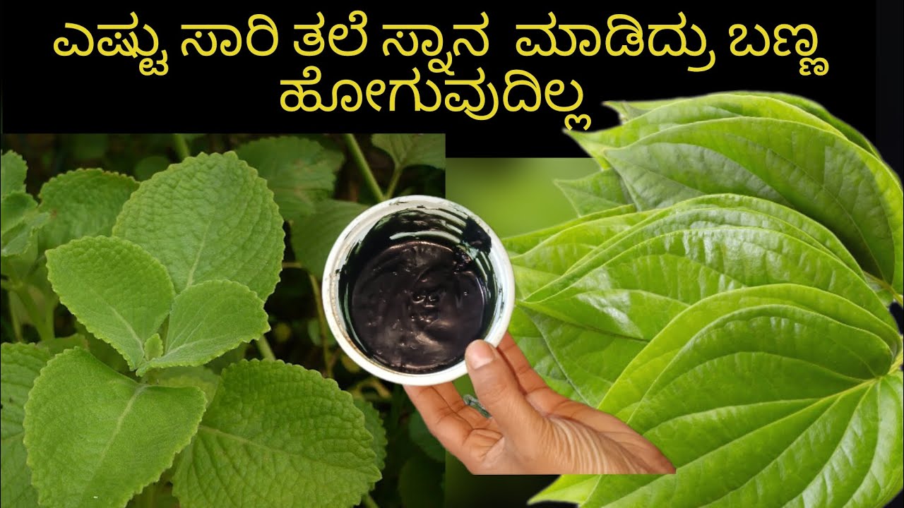 👉 ಯಾವುದೇ ಹೇರ್ ಕಲರ್ ಹೇರ್ ಡೈ ಬೇಡ 💯 ನ್ಯಾಚುರಲ್ ಹೇರ್ ಕಲರ್ 