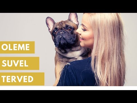 Video: Kuidas peatada minu koer, kui hakkate kõrvetama