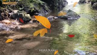 Download Lagu DJ KEMESRAAN INI cover versi REMIX ngawor MP3 Download Lagu DJ KEMESRAAN INI cover versi REMIX ngawor MP3