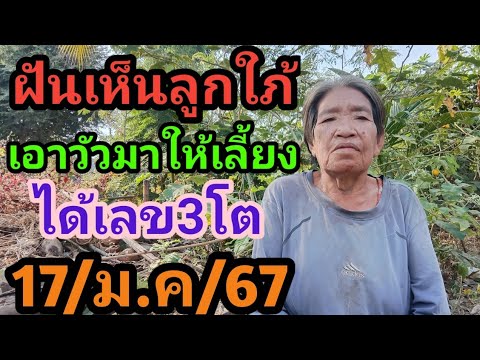 ผลสลากกินแบ่งรัฐบาล วันที่ 1 พย. 2567