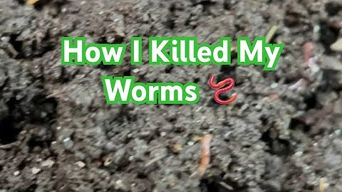 Cautionary Tale for Nursery Bins