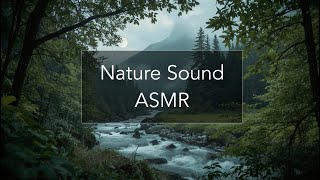 Mountain Stream & Rainy Forest Morning - Sleep, Focus ASMR | 川の音 / 빗소리 / 溪流 / lluvia / Bach