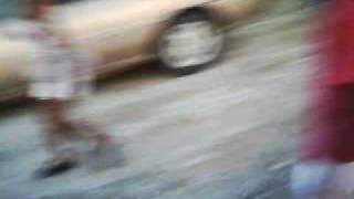 Picture 495.avi