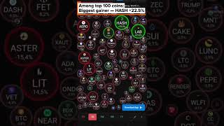 Daily Crypto Market Snapshot #8
