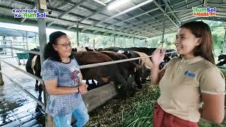 Kwentong Karumsol Gina Palma Organika Farm