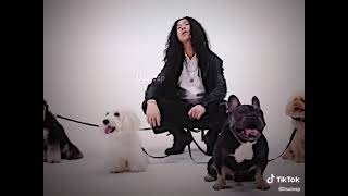 Pardon?Sen kimsin gelmişsin burda dünyalarca ünlü bir guruba sallıyosun sg mk