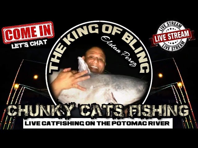 Chunky Cats Fishing Thursday Night Monster Catfish Show live from the banks  of the Potomac River 