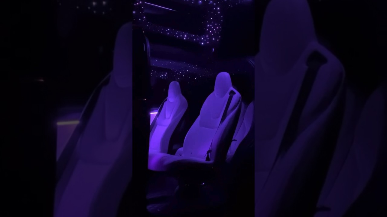 Tesla model X - instalación de cielo estrellado + molduras acrílicas led dinámicas