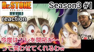 Dr.STONE 同時視聴
