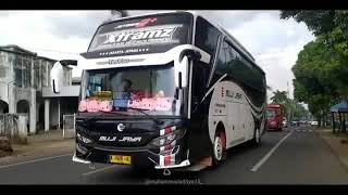 STORY WA BUS TERBARU 30 detik. MUJI JAYA Xtramz