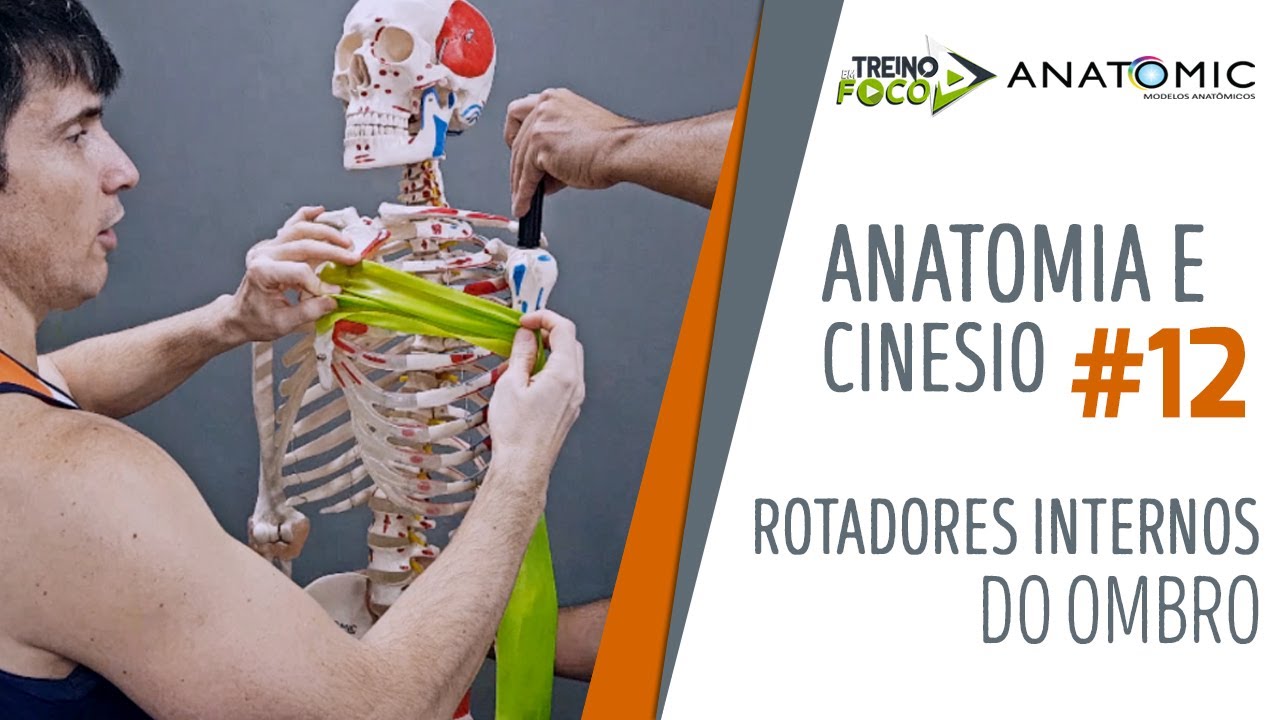 Peitoral Maior e Latíssimo do Dorso fazem esse MESMO MOVIMENTO - Anatomia e Cinesiologia #12