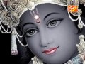 Har Janam Me Sanware Ka Sath Chahiye By Shyam Agarwal Mp3 Song