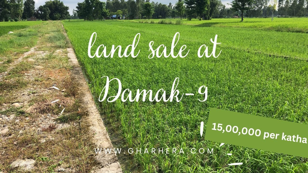 Land sale at Damak9 near by Padini school 9746863344 9827377333