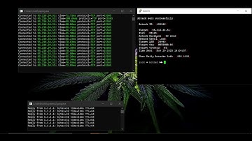 Clyde C2 SHOWCASE | DDOS BEST C2/BOTNET/API 2025 | L4 & L7 | BEST BYPASS