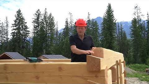 Build a Dovetail Log Cabin - Bloopers  #dovetaillogcabin #behindthescenes #logcabinproject #logcabin