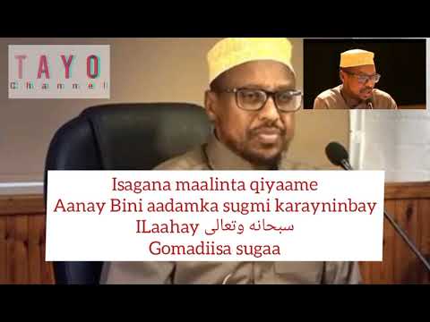 Sh Mustafe Xaaji Isamciil// Noqo Qof Wax Tarleh .. Qoraal iyo Muuqaal.. Lyrics and Video //
