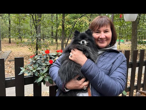 Погода б є по врожаю де чекати заморозків Прогноз погоди від Наталки Діденко