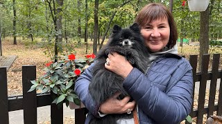 картинка: Погода б’є по врожаю: де чекати заморозків? Прогноз погоди від Наталки Діденко