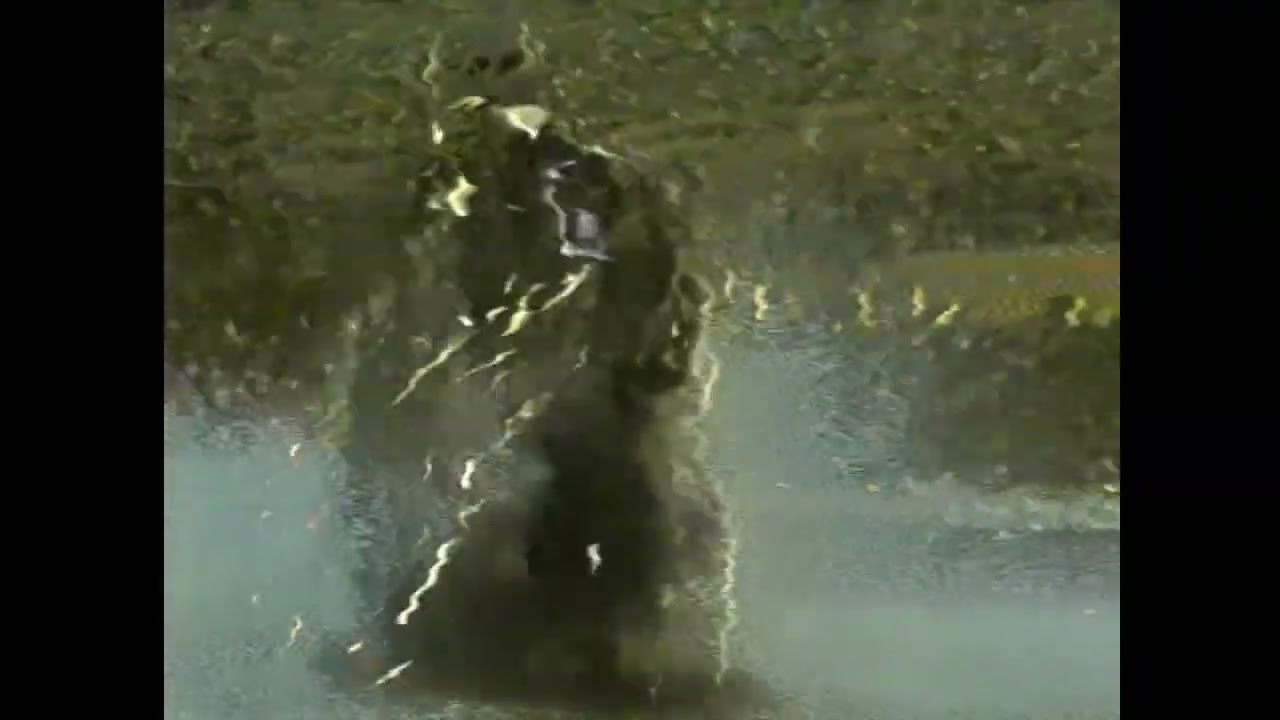 Watch Magnetic Spacemen - WHIP (Official Music Video) on YouTube Watch Magnetic Spacemen - WHIP (Official Music Video) on YouTube