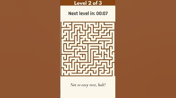 Maze Puzzle Challenge: Can You Solve All 3 Brain Games? 🧩