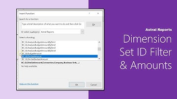 Astral Reports || How to - Use Dimension Set ID Filter & Amounts