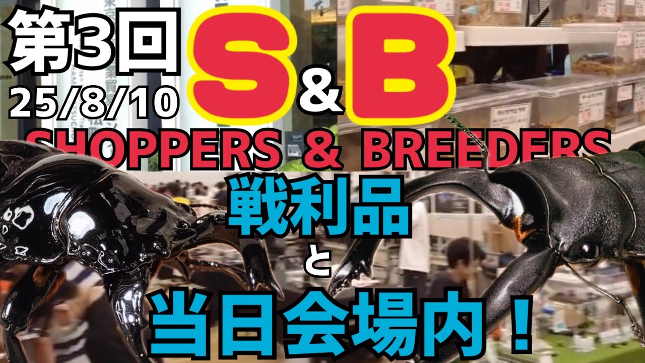 SB] We bring you the spoils and a look at the venue from the 3rd