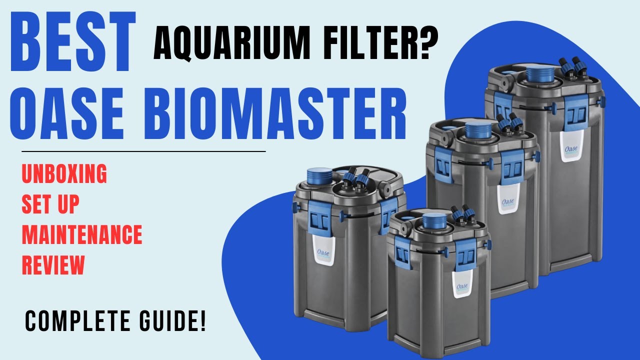 OASE Biomaster COMPLETE GUIDE